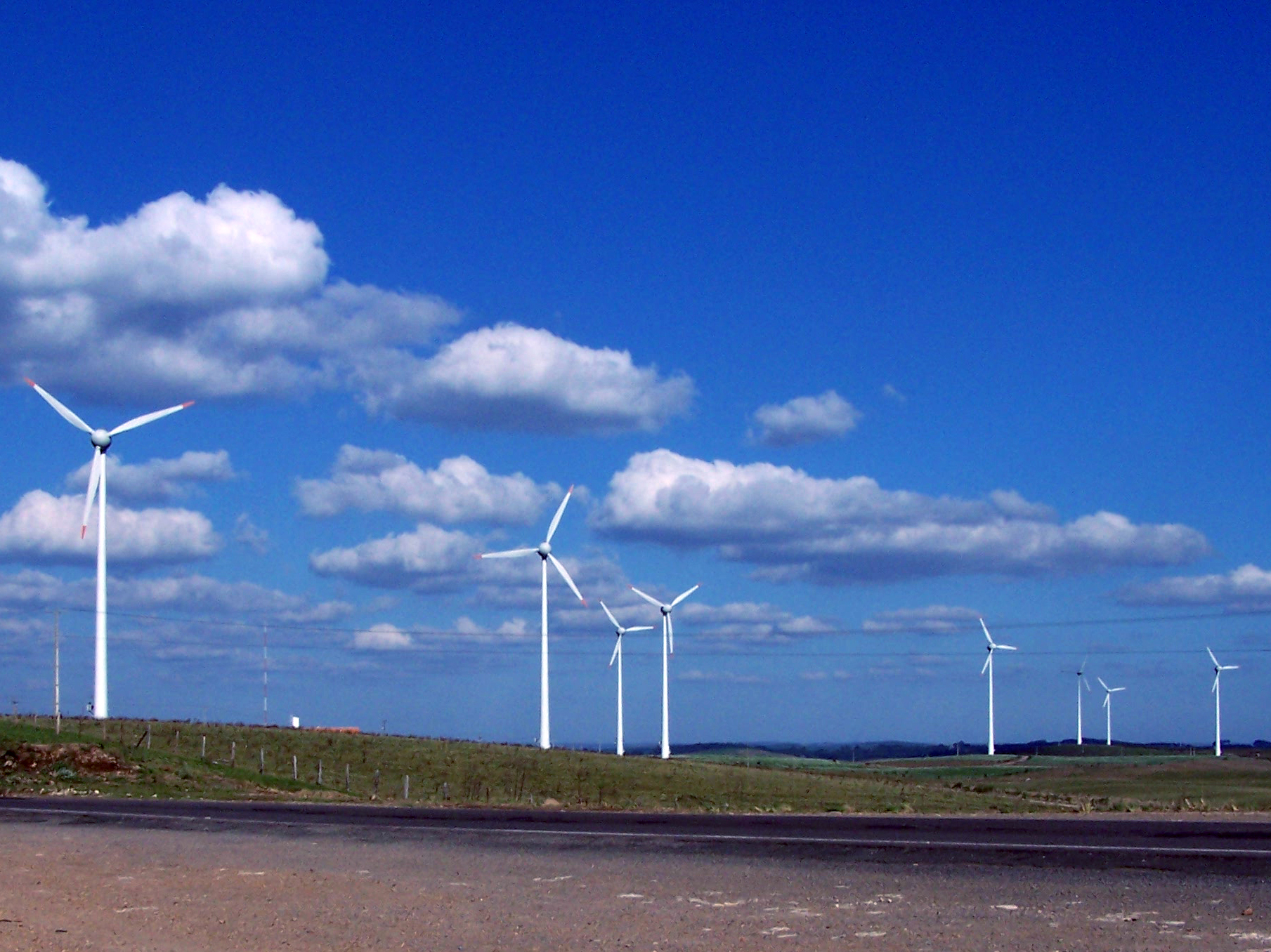 Imagem 1293 no node 3109