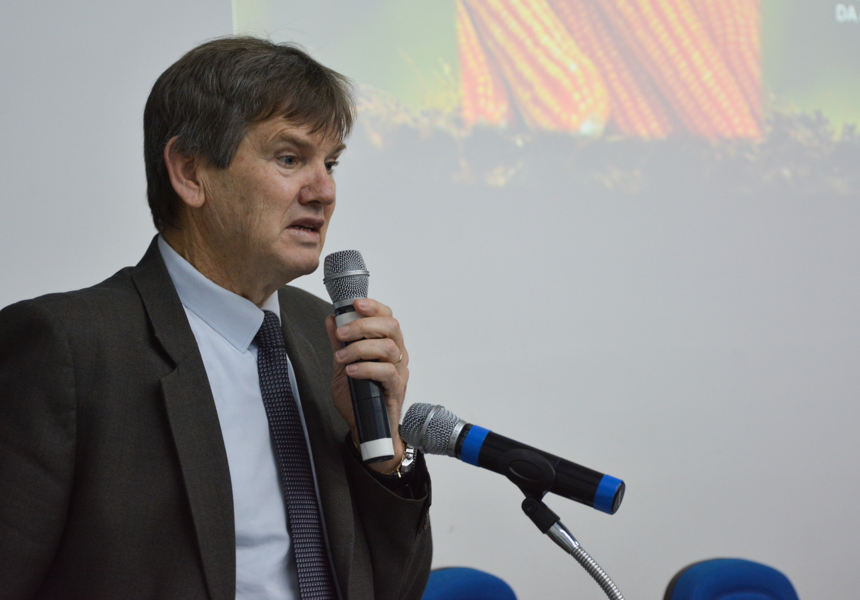 Imagem 3051 no node 5145