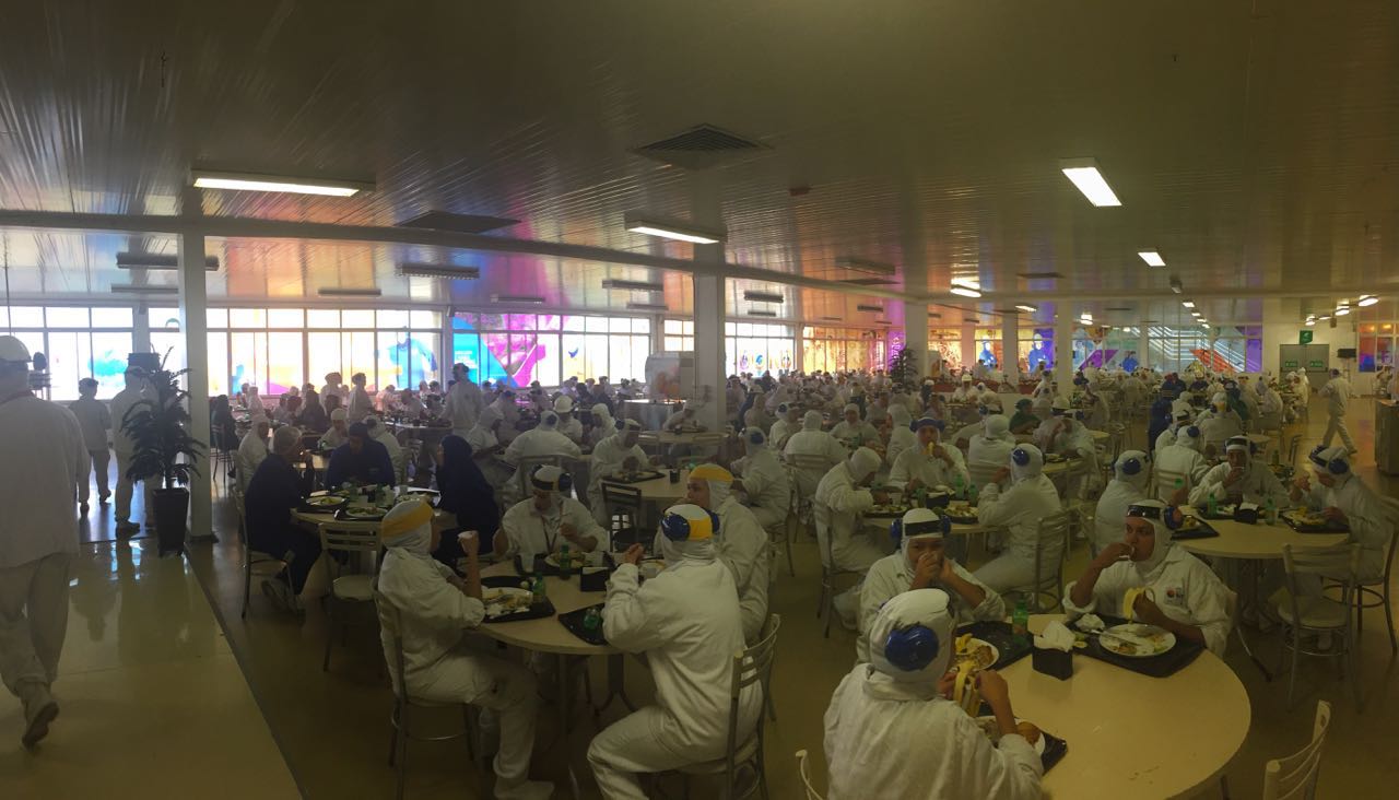 Imagem 2630 no node 4705