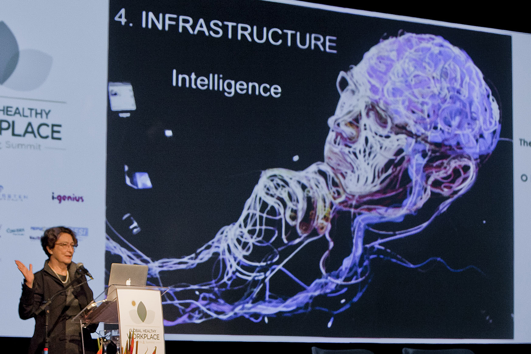 Imagem 1213 no node 3029