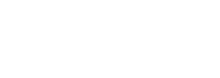 Câmara de Desenvolvimento da Industria Automotiva