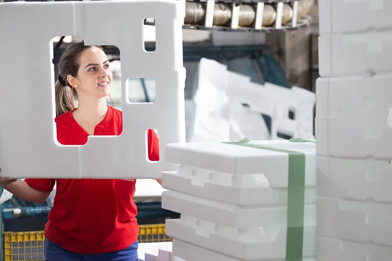 Schmidt diz que "um reconhecimento internacional como este é um atestado de que estamos no caminho certo"