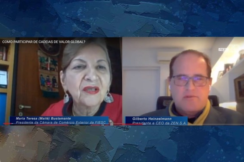 Ferramenta da FIESC que considera o conjunto de atividades da cadeia global esteve entre assuntos abordados na transmissão. (Imagem: Reprodução)