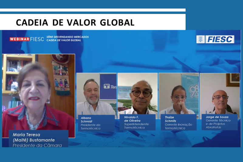 Transmissão on-line no Youtube da FIESC ocorreu nesta terça (20)