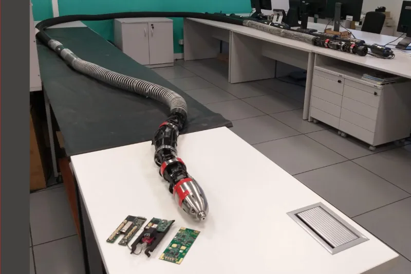 Annelida reproduz o deslocamento peristáltico das minhocas, movimento pelo no qual avanços e retornos ocorrem através de repetições de contração e dilatação do corpo (foto: divulgação)