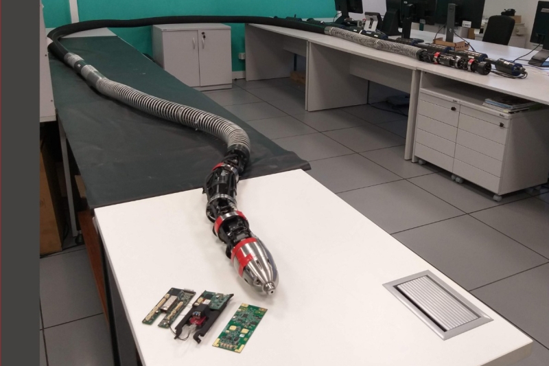 Annelida reproduz o deslocamento peristáltico das minhocas, movimento pelo no qual avanços e retornos ocorrem através de repetições de contração e dilatação do corpo (foto: divulgação)