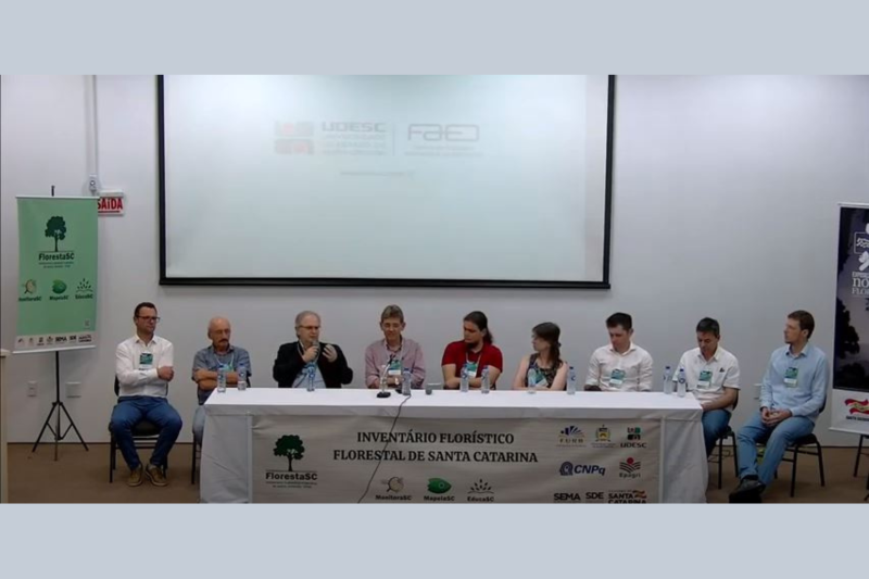 Florestas nativas cobrem 38% do território catarinense