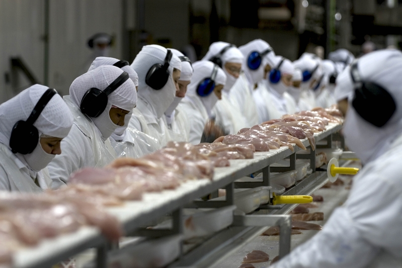 Crescimento no setor alimentício ameniza queda na produção industrial catarinense