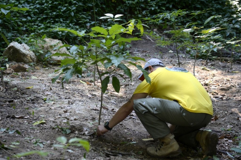 O Código Ambiental protege o meio ambiente e muito mais