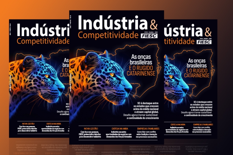 O que impulsiona o desempenho superior de Santa Catarina